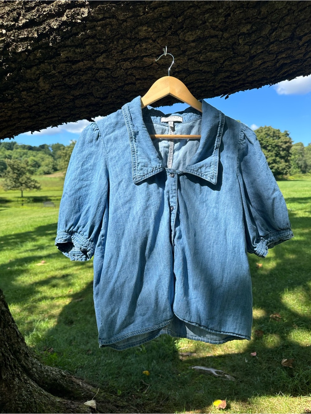 Blue Denim Puff-Sleeve Button-Front Blouse